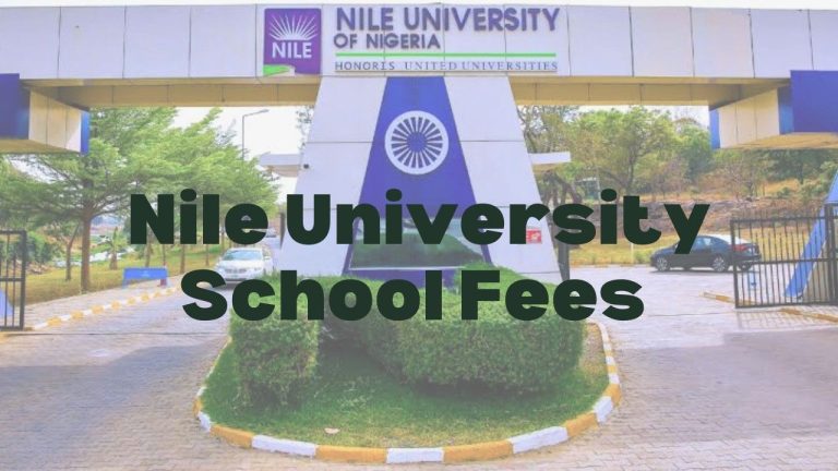 skyline university kano school fees