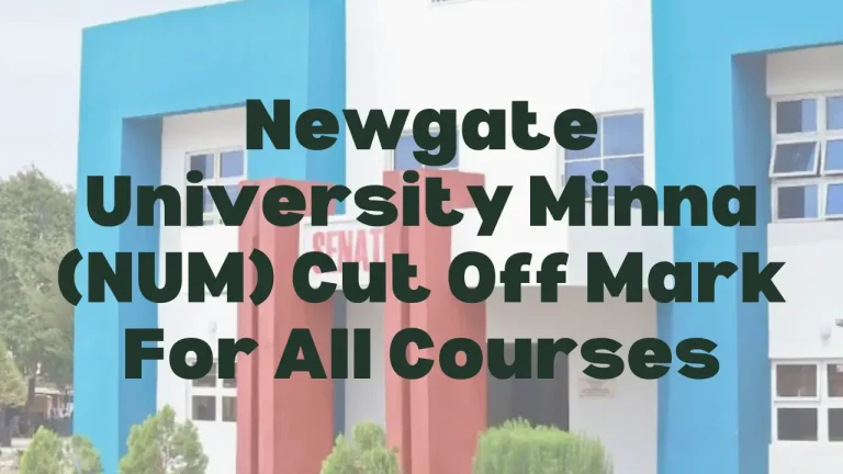 Newgate University Minna Cut Off Mark - Featured Image